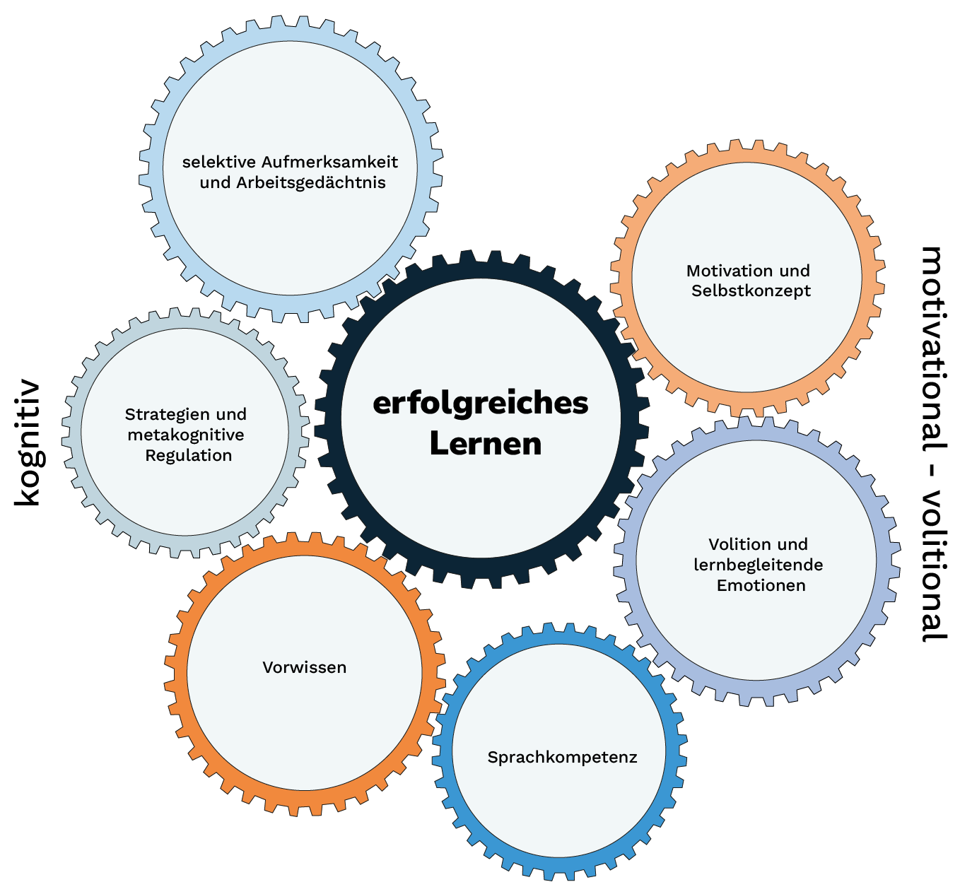 Data Literacy