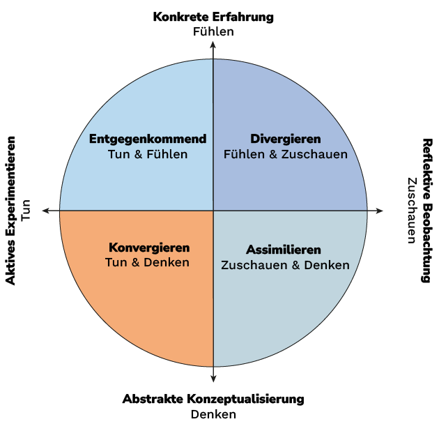 Data Literacy Grafik für Data Kompetenz lernen