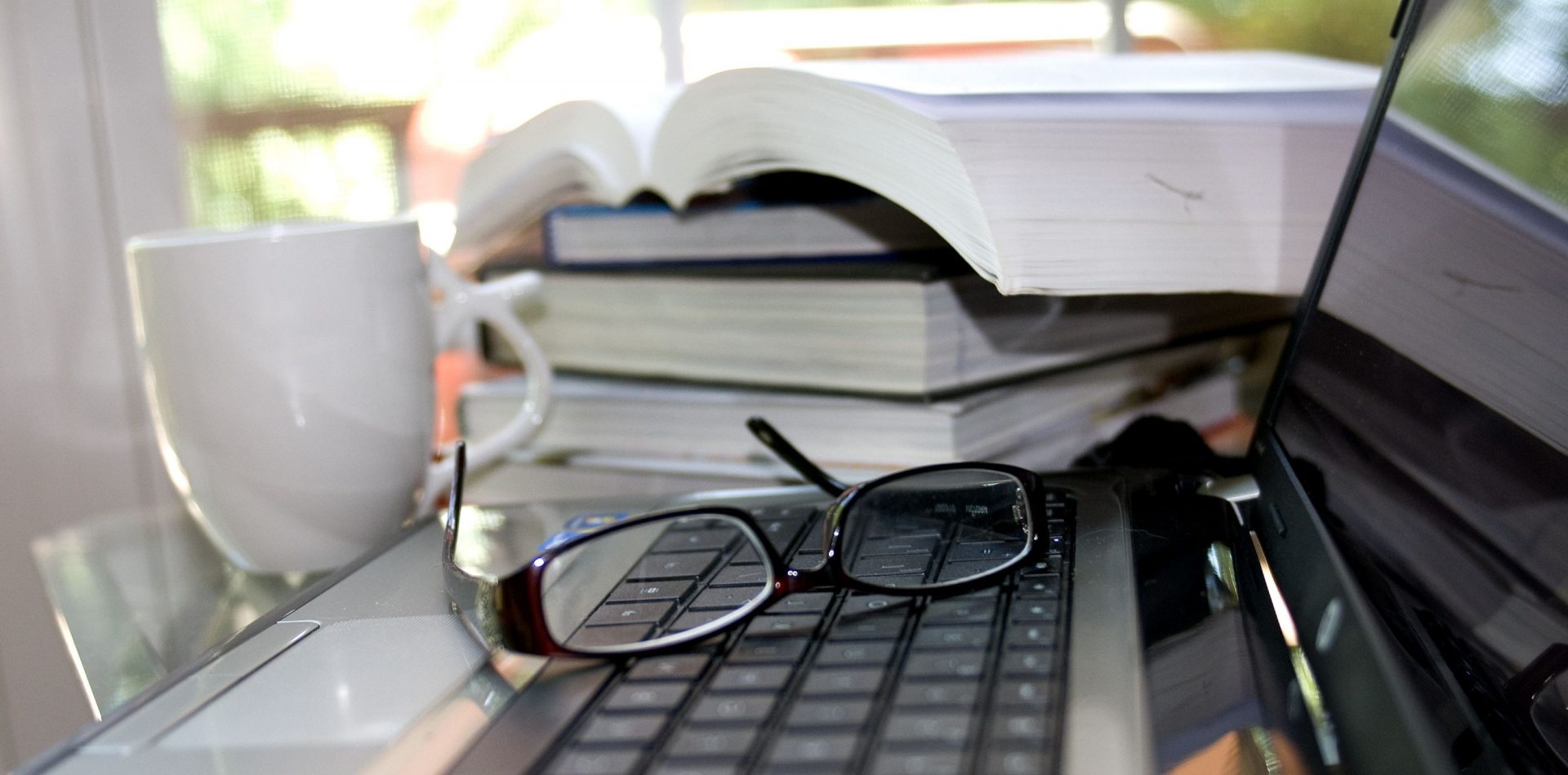 Mit Daten Geschichten erzählen - wie viel Lesekompetenz darf ich voraussetzen? Foto: Axelle B (https://www.publicdomainpictures.net/en/view-image.php?image=151115&picture=computer-books). Lizenz: CC0 Public Domain.